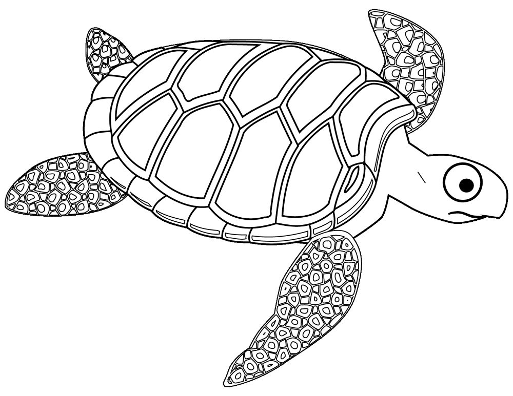 Cartoon Turtle Coloring Page Md Coloring Page — Free Printable — free printable coloring page