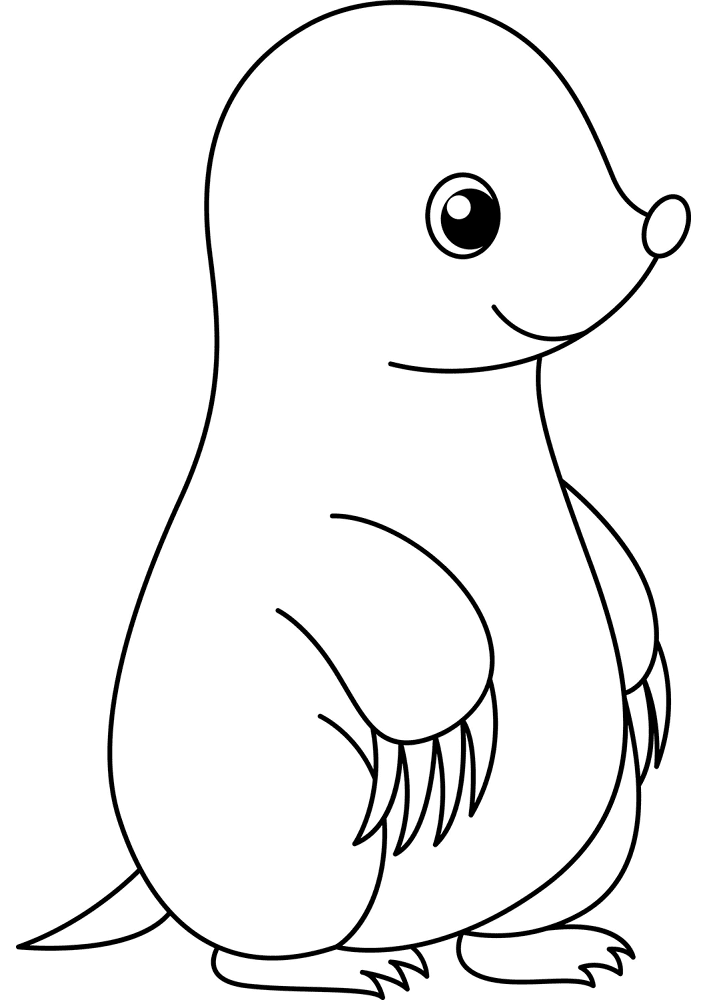 Cute Mole Coloring Page Md Coloring Page — Free Printable — free printable coloring page