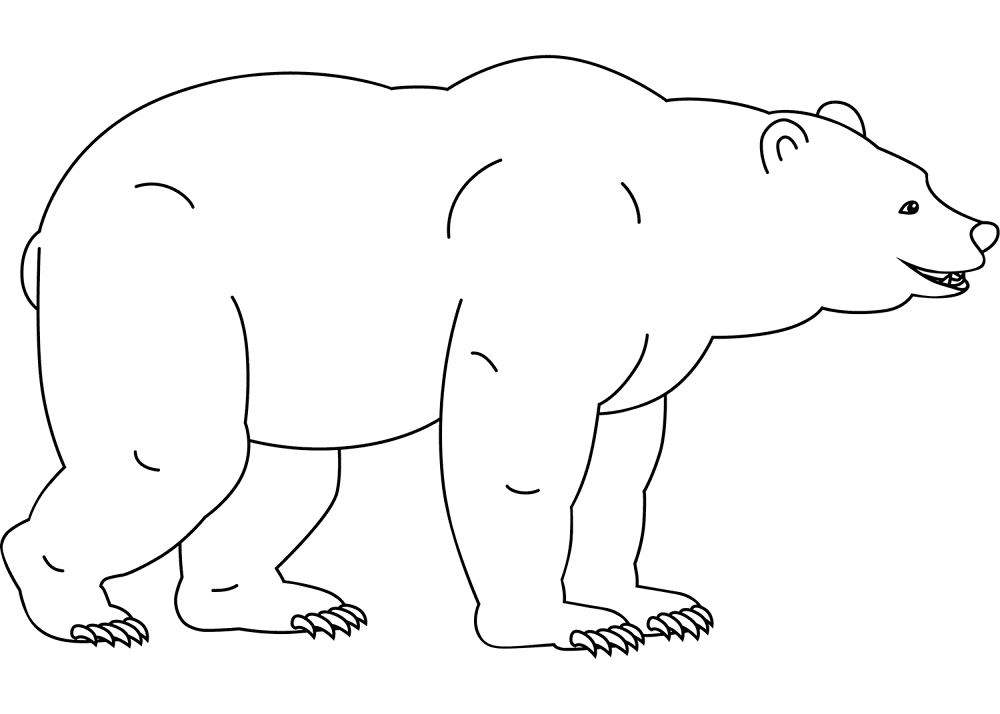 Funny Bear Coloring Page Md Coloring Page — Free Printable — free printable coloring page