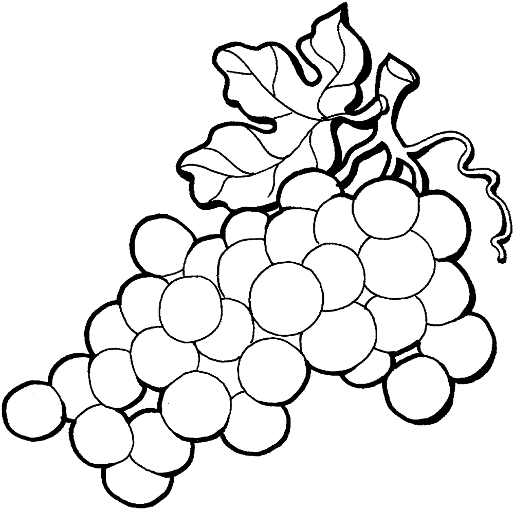 Grape 4 Coloring Page Md Coloring Page — Free Printable — free printable coloring page