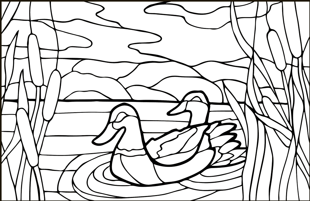 Mullard Ducks Stained Glass Coloring Page Md Coloring Page — Free Printable — free printable coloring page