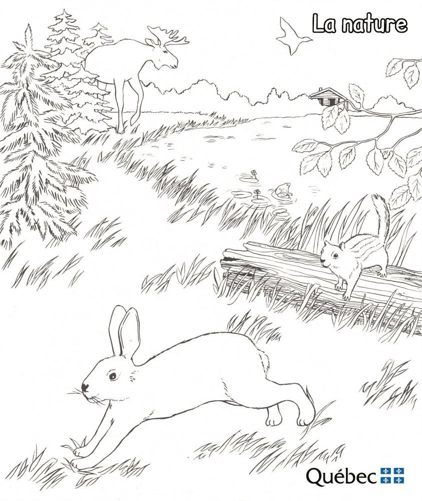 Nature Md Coloring Page — Free Printable — free printable coloring page