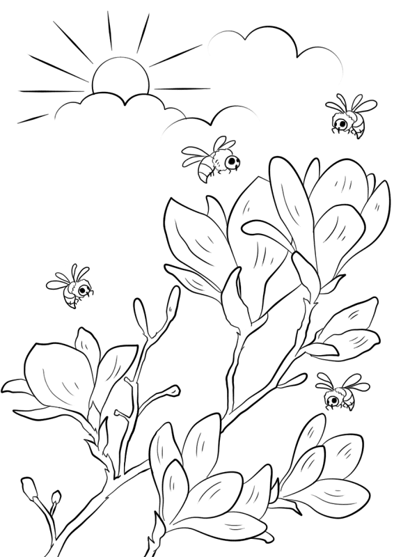 Spring Flowering Branches Coloring Page Md Coloring Page — Free Printable — free printable coloring page