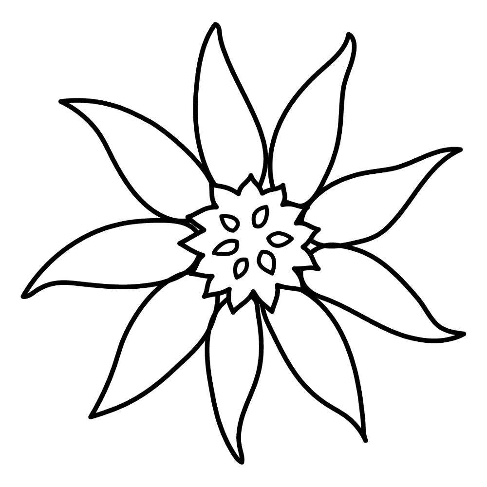 Sunflower 12 Coloring Page Md Coloring Page — Free Printable — free printable coloring page