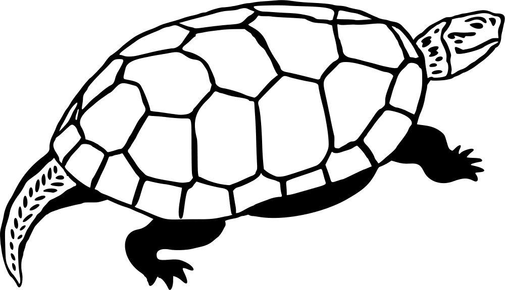 Turtle 3 Coloring Page Md Coloring Page — Free Printable — free printable coloring page