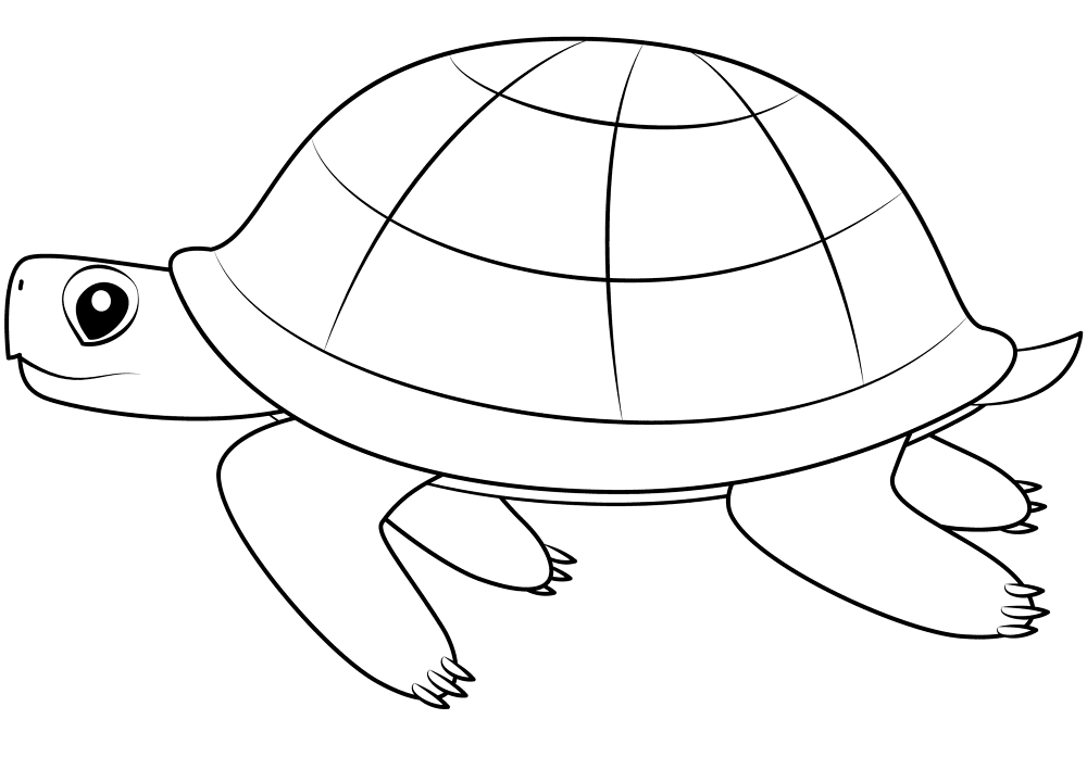 Turtle Coloring Page Md Coloring Page — Free Printable — free printable coloring page